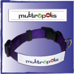 Dog Collars And Leads FlexPets